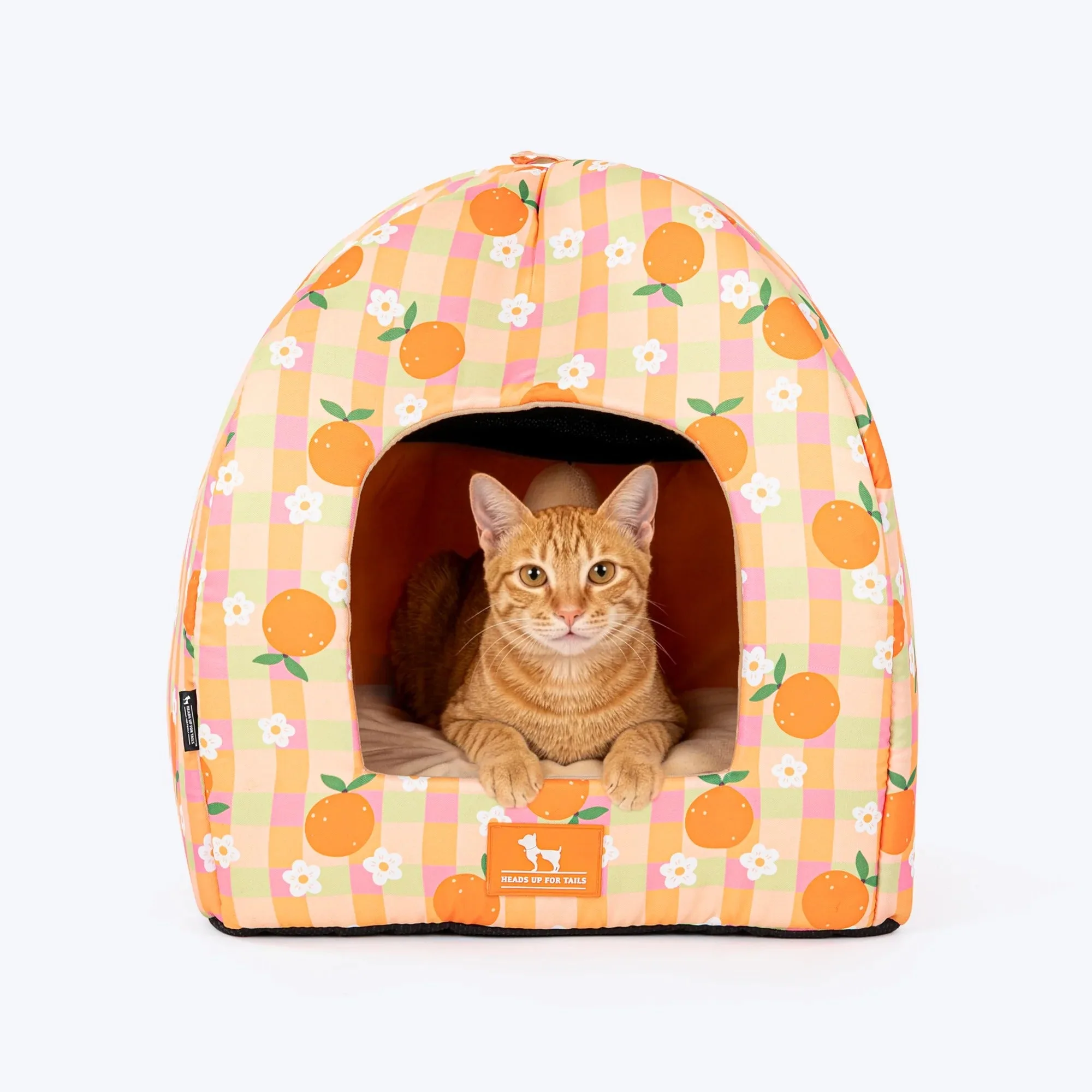 How to Use a Pet Tent Bed for Cats and Small Dogs
