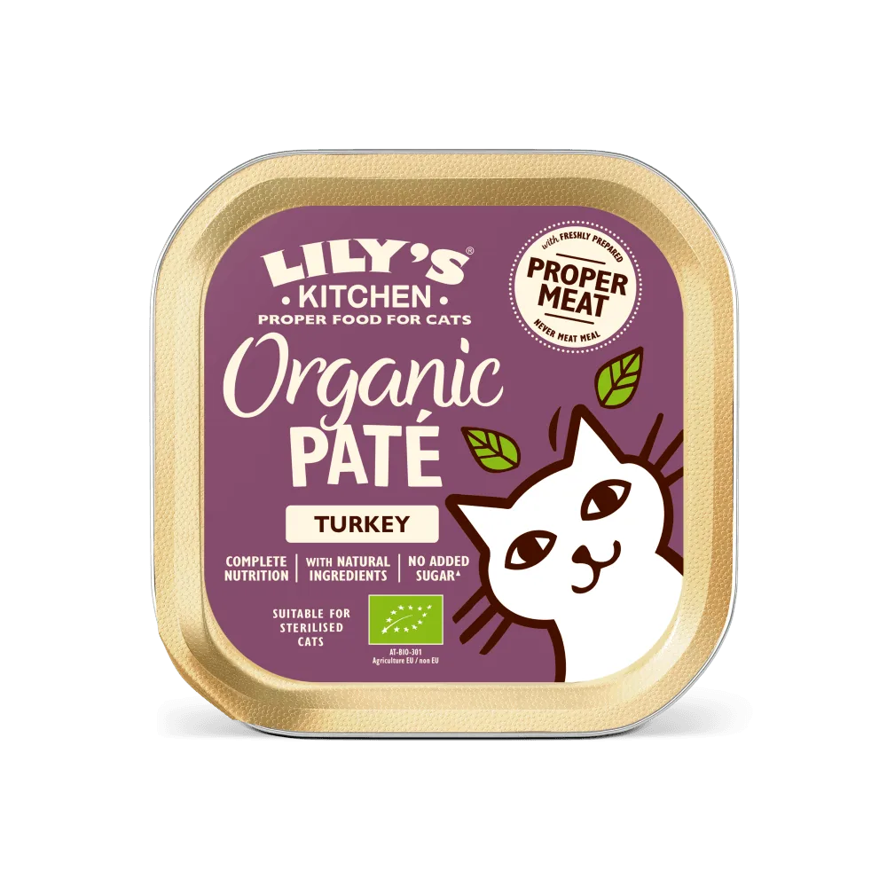 How to Transition Your Dog to Grain-Free Recipes Without Stomach Upset