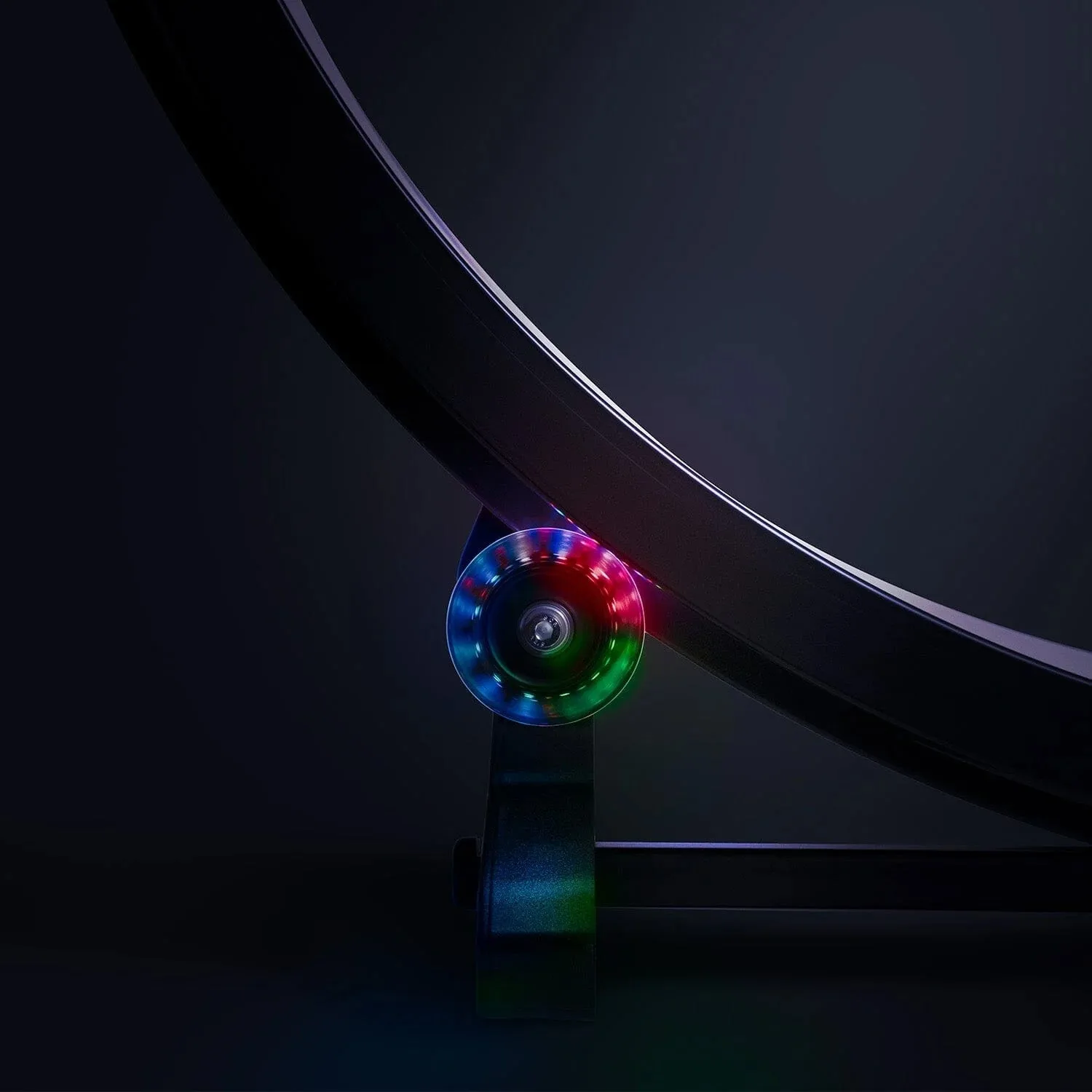 Why Your Cat Needs an Activity Wheel for Exercise