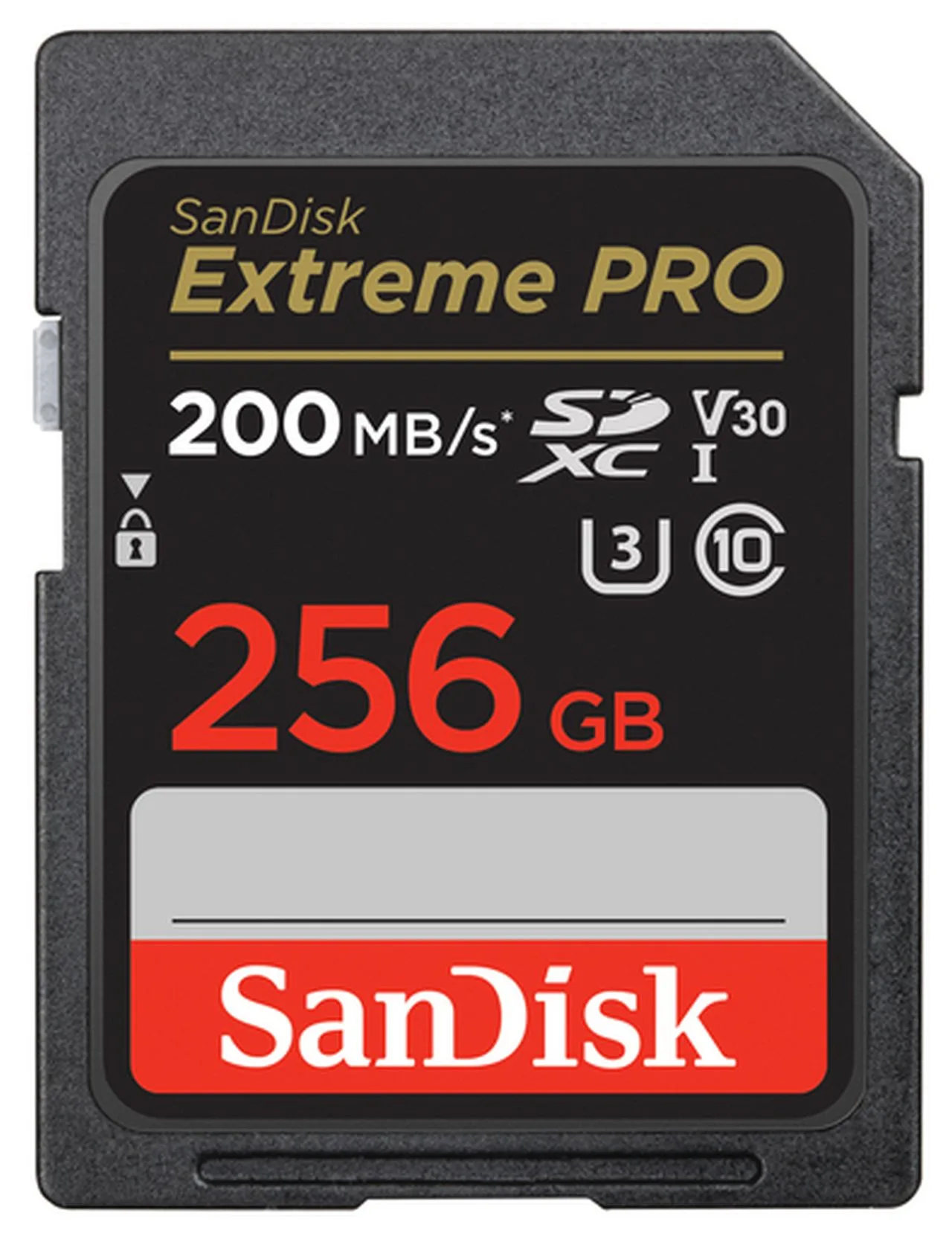Nikon Coolpix SD Card Speed: 64GB vs 256GB 200MB/s
