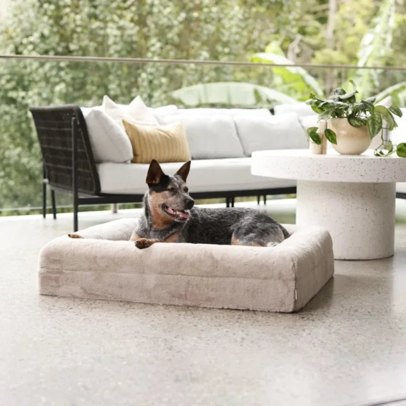 How to Prevent Dog Bed Odors: A Simple Maintenance Routine