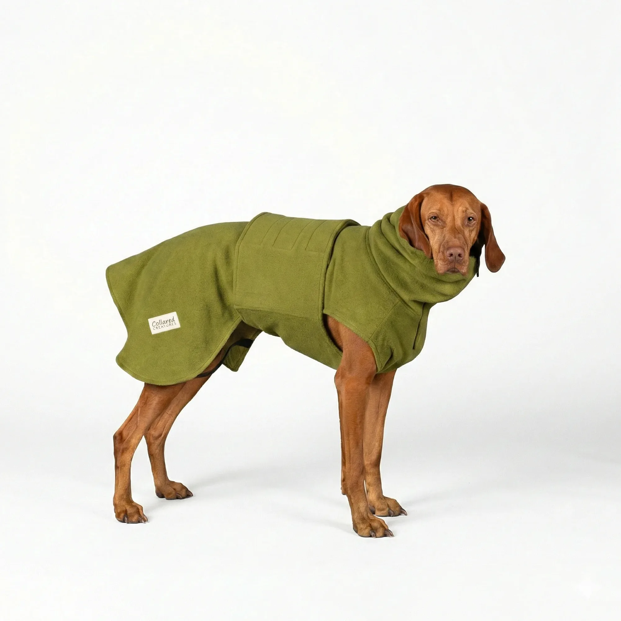 Utiliser un manteau séchant pour chien après la promenade