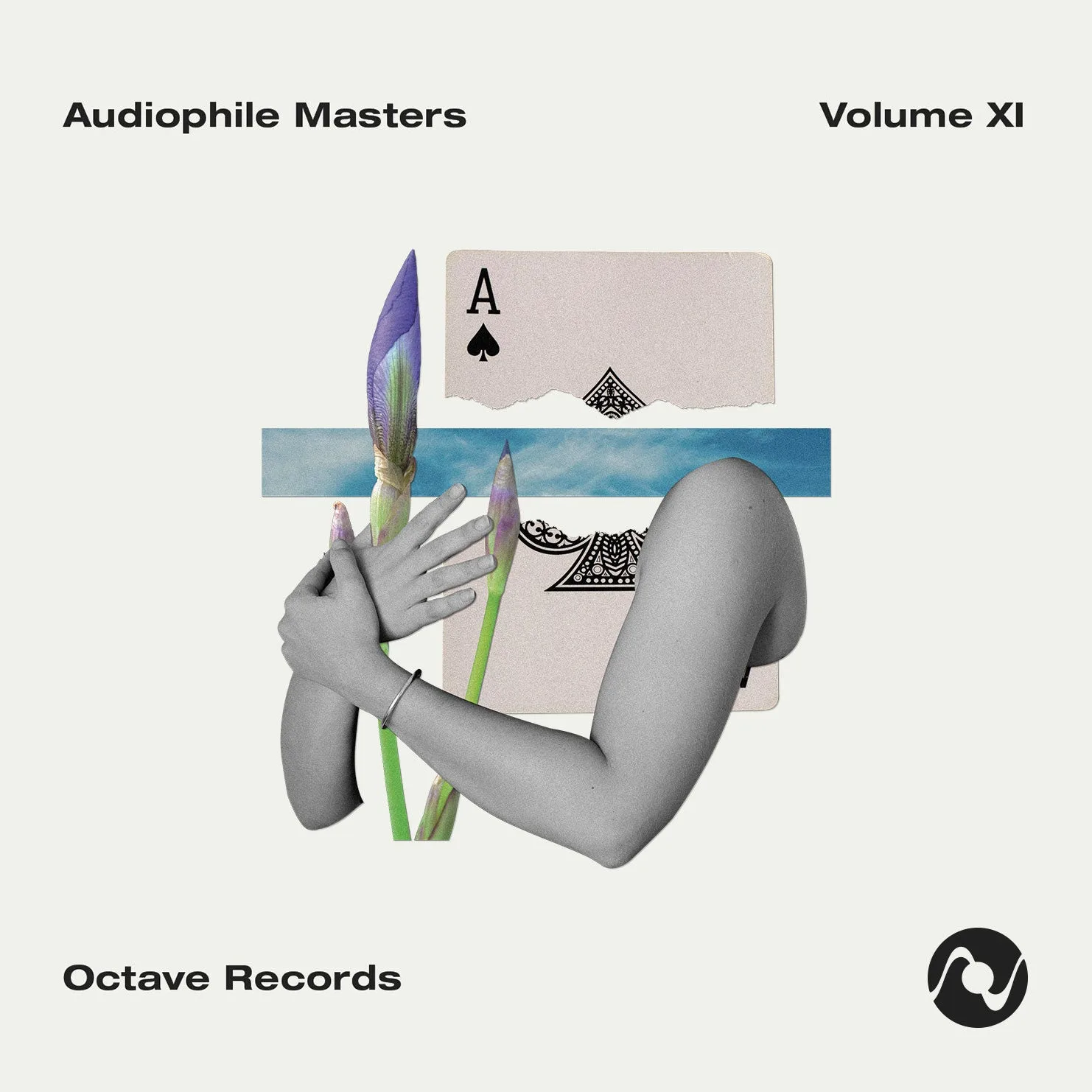Audiophile Masters Vol. XI vs. Tangent: Albumvergleich