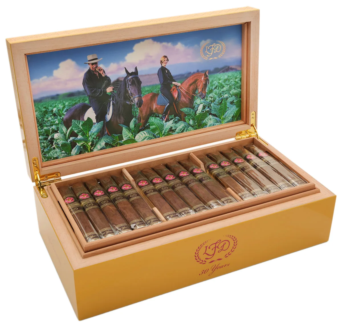 Cigar Humidor vs Travel Humidor: Which Do You Need?