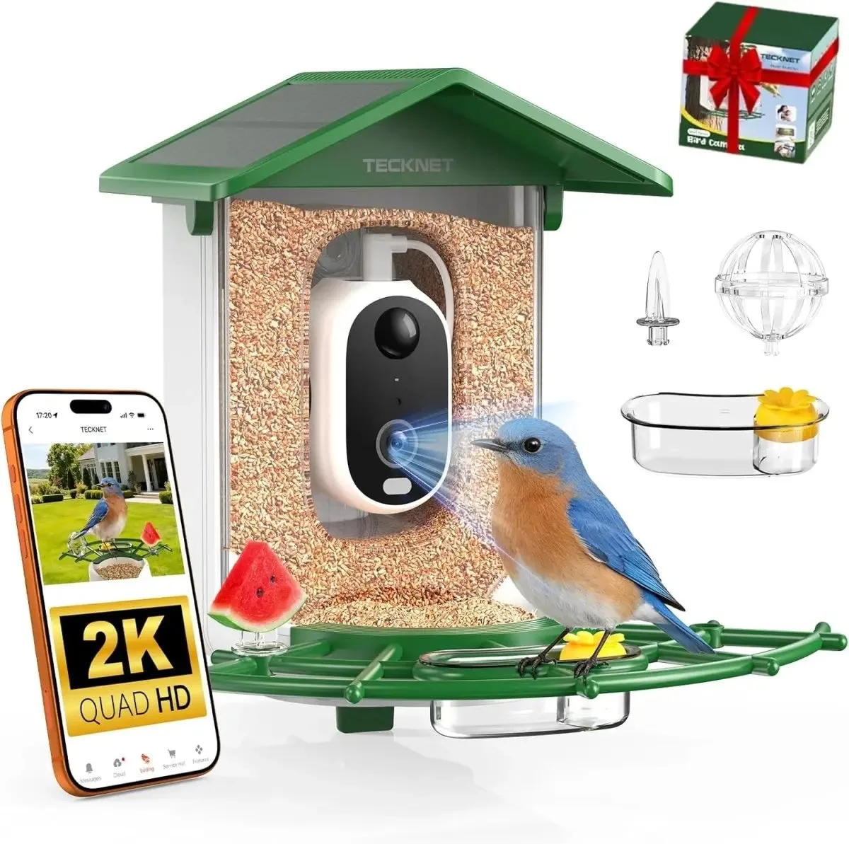 TECKNET Smart Bird Feeder Camera Setup Guide