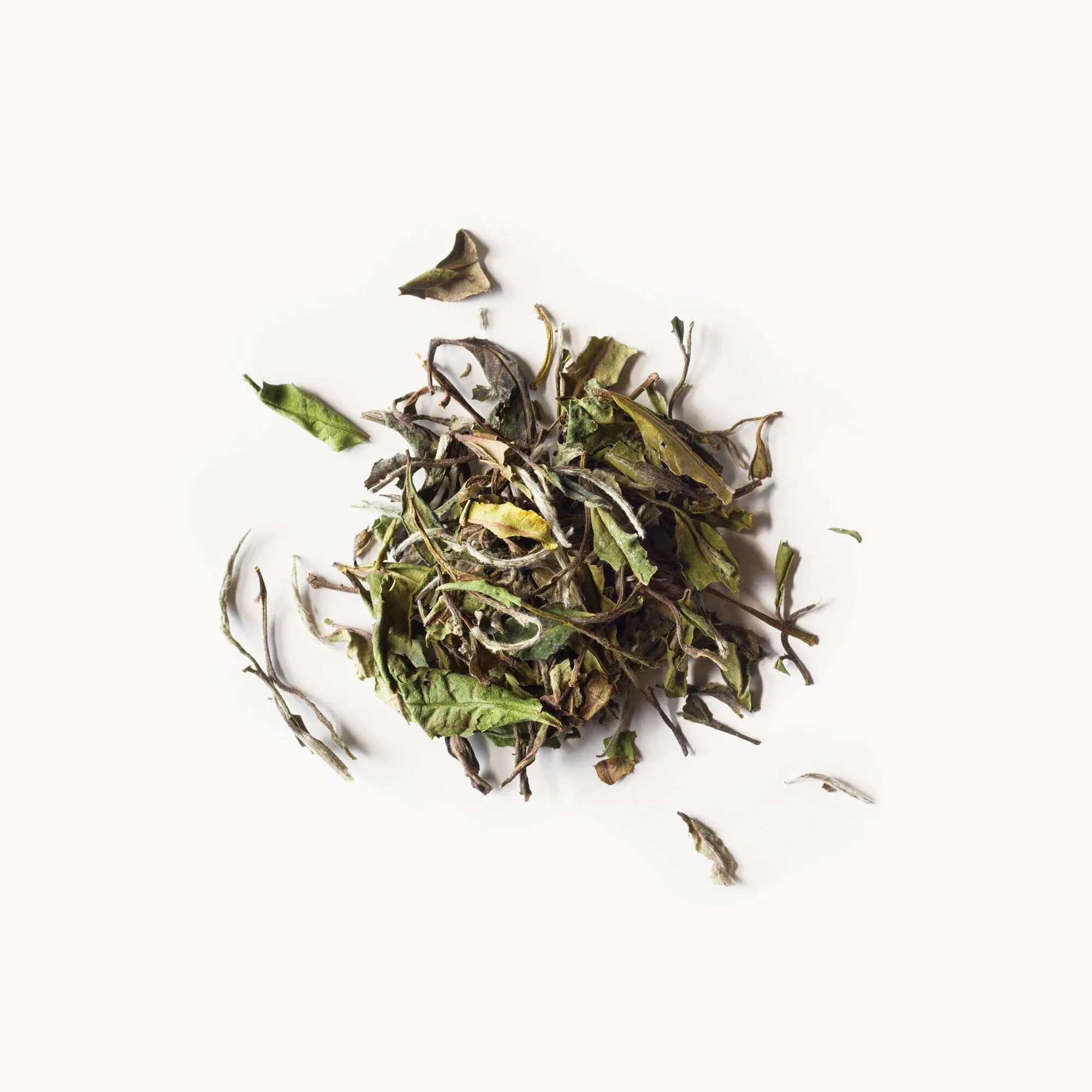 White Peony Tea Review: Flavor Profile and Brewing Tips