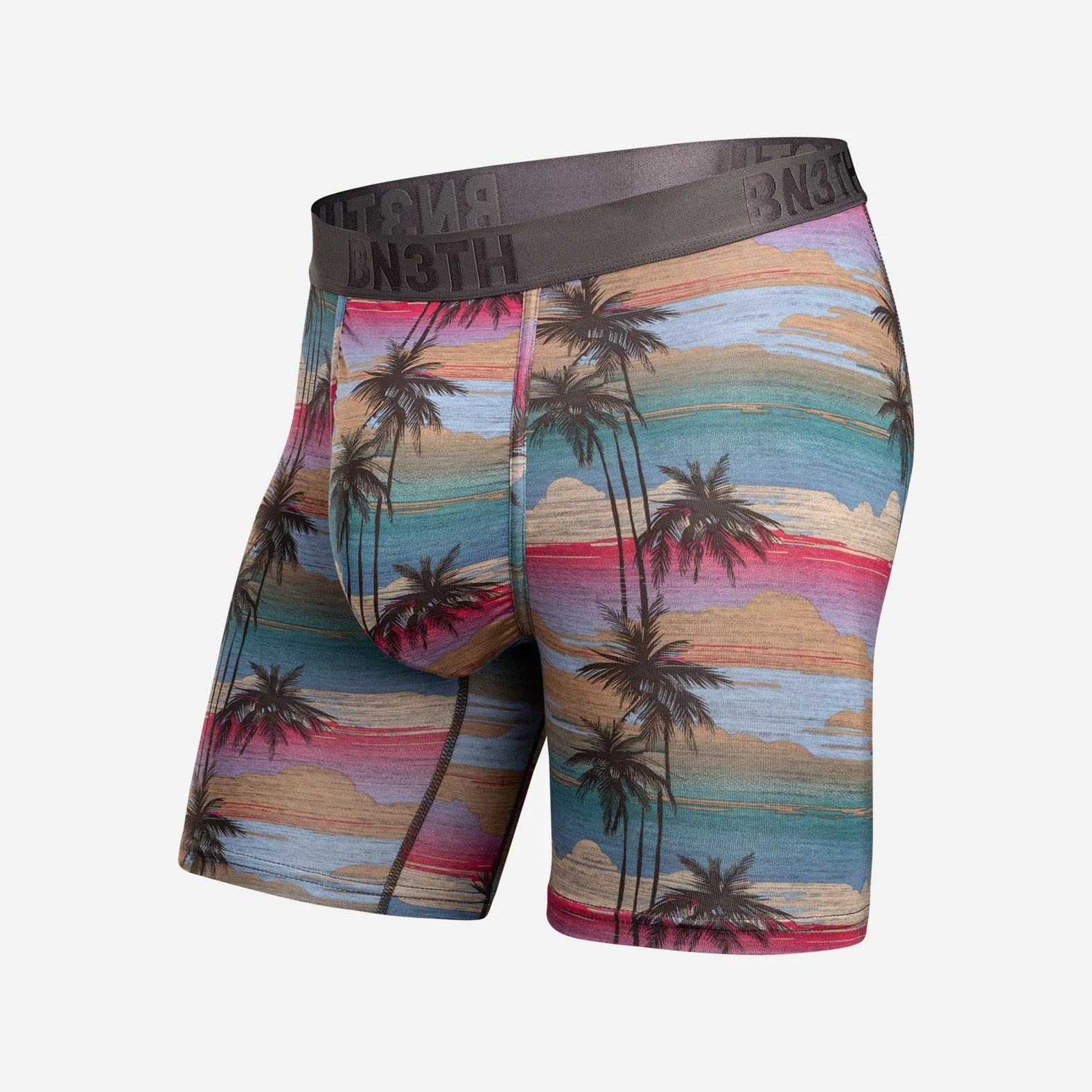 Classic Icon Boxer Brief With Fly