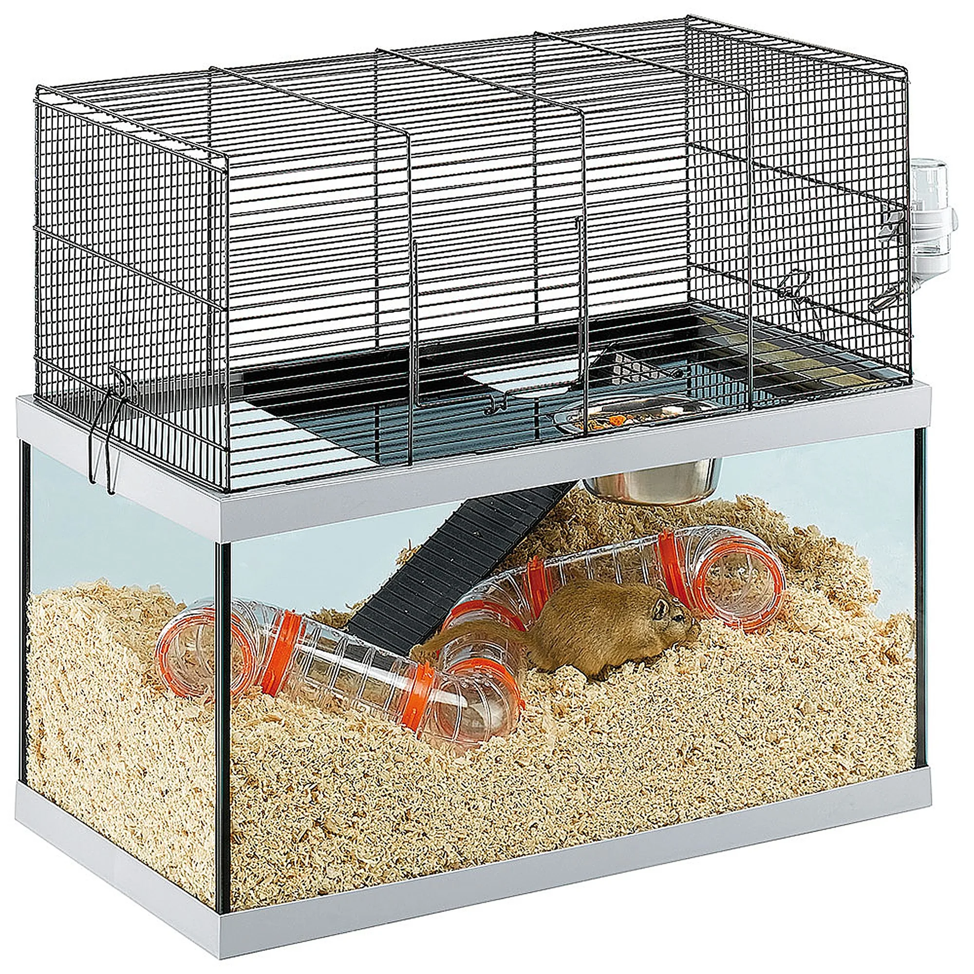 Gerbils: Glass Tank vs Wire Cage – Which Is Better?