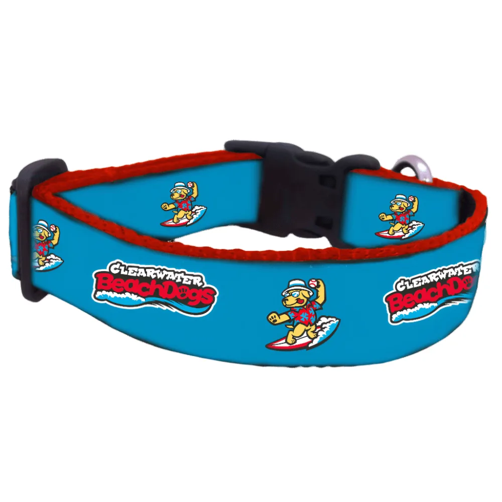 Come scegliere un collare per cani Clearwater BeachDogs