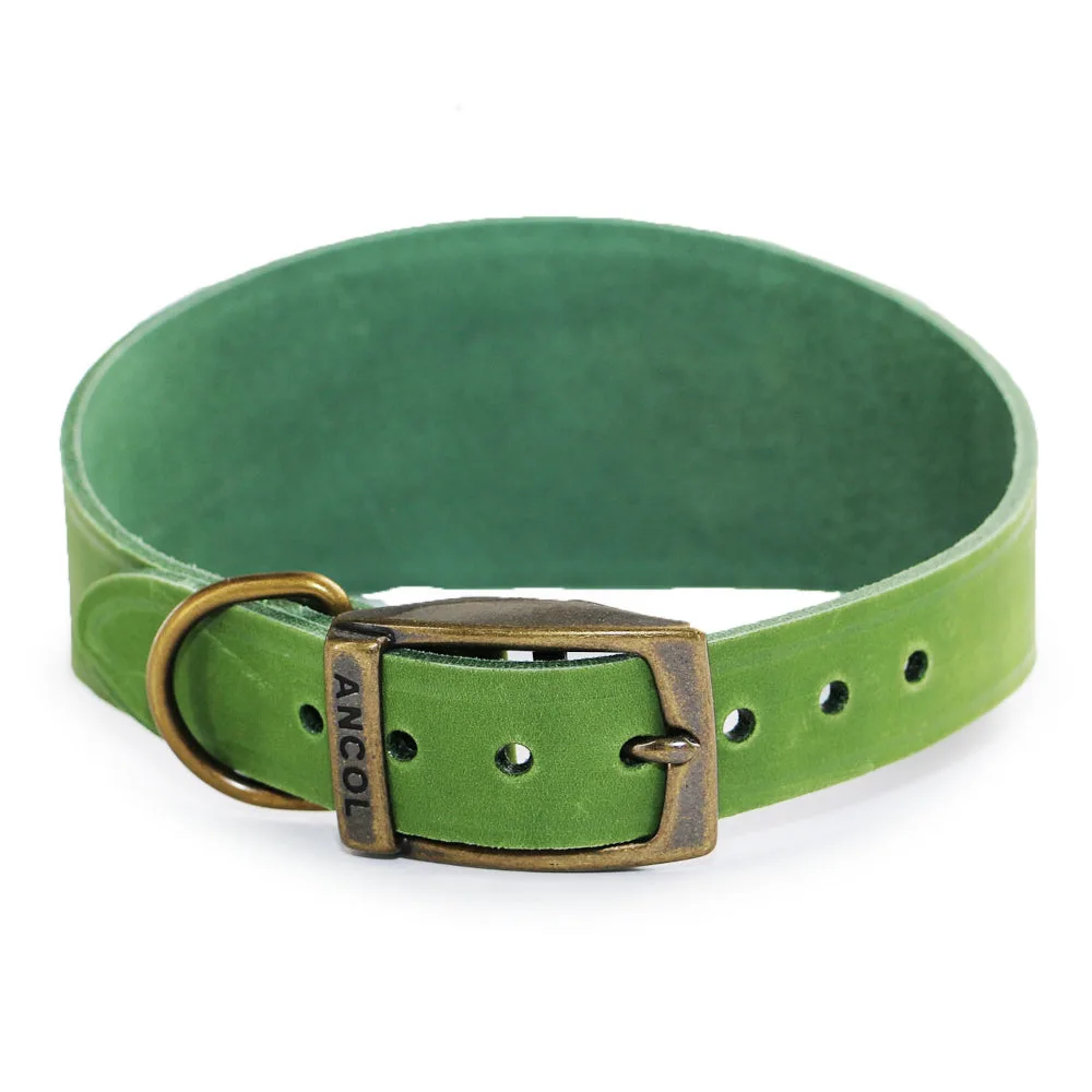 Ancol Timberwolf Greyhound & Whippet Leather Collars Green 2 Sizes