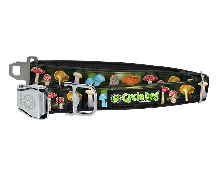Collar para perro de setas