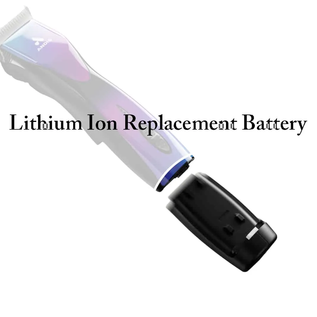DBLC2 Lithium Ion Replacement Battery