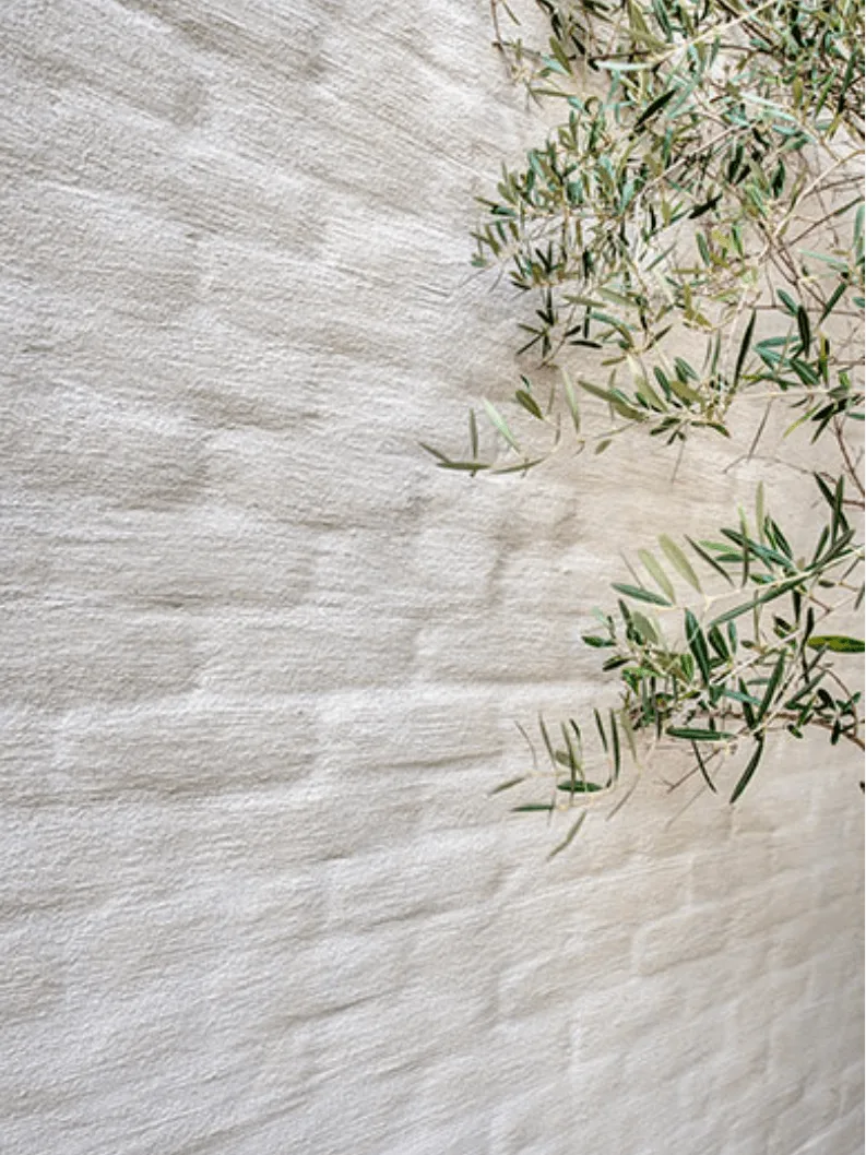 How to Apply Lime Slurry on Interior Walls