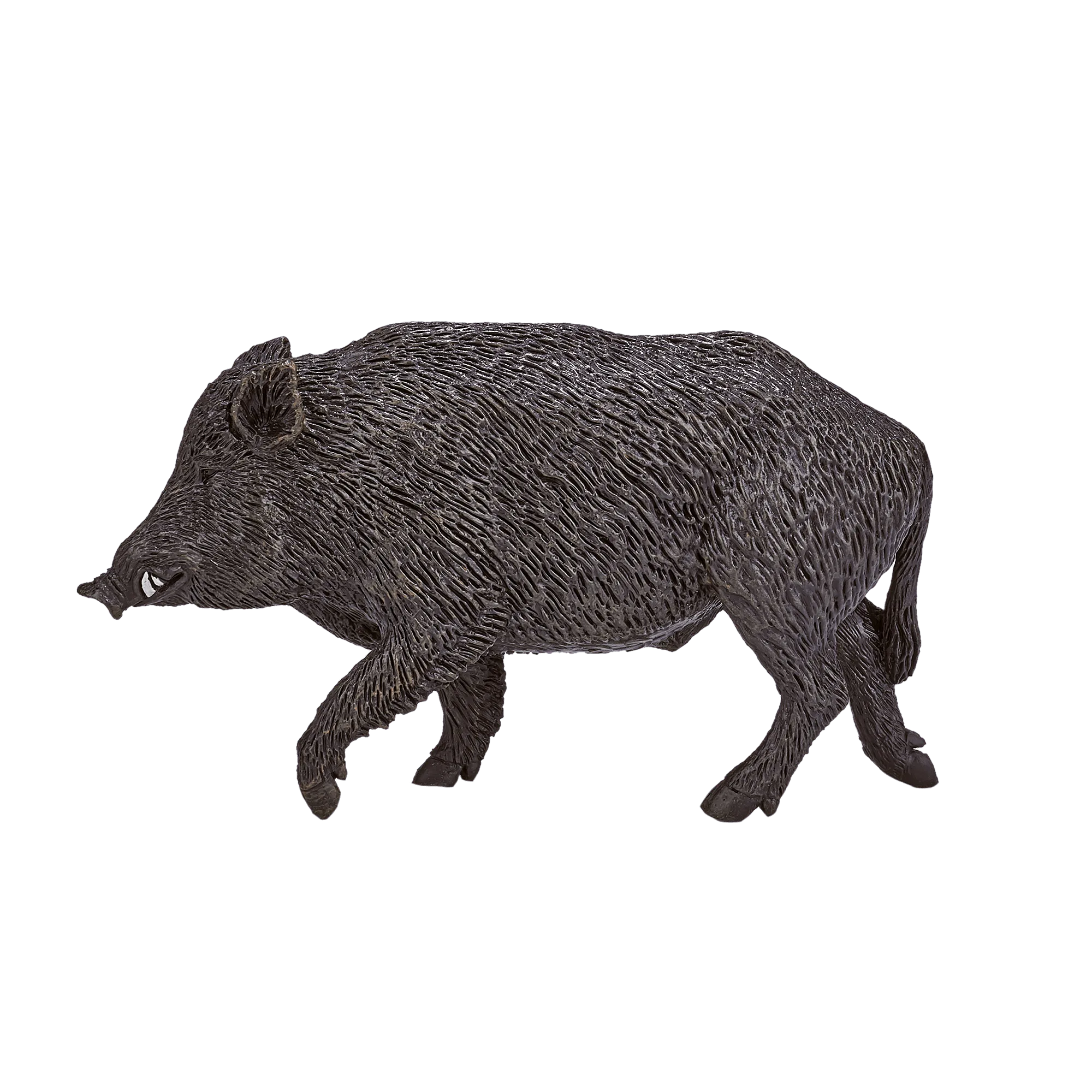 Sanglier vs cochon : choisir le bon modèle de ferme