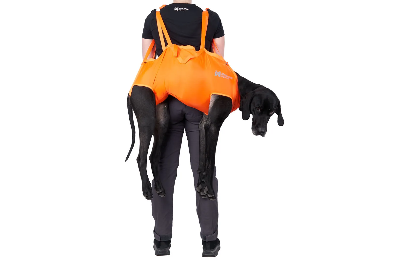 How to Fit a Dog Rescue Sling for Emergency Carries