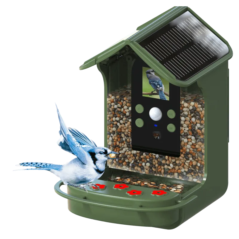 Jak nastavit BRAUN Bird Cam 130 Solar