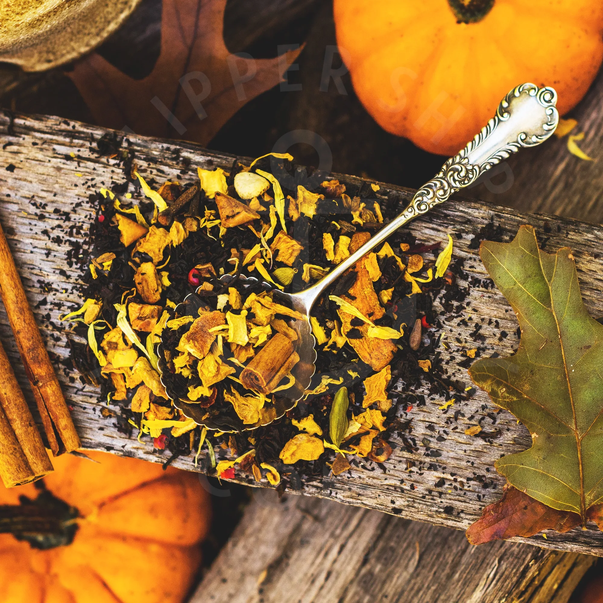 Pumpkin Chai