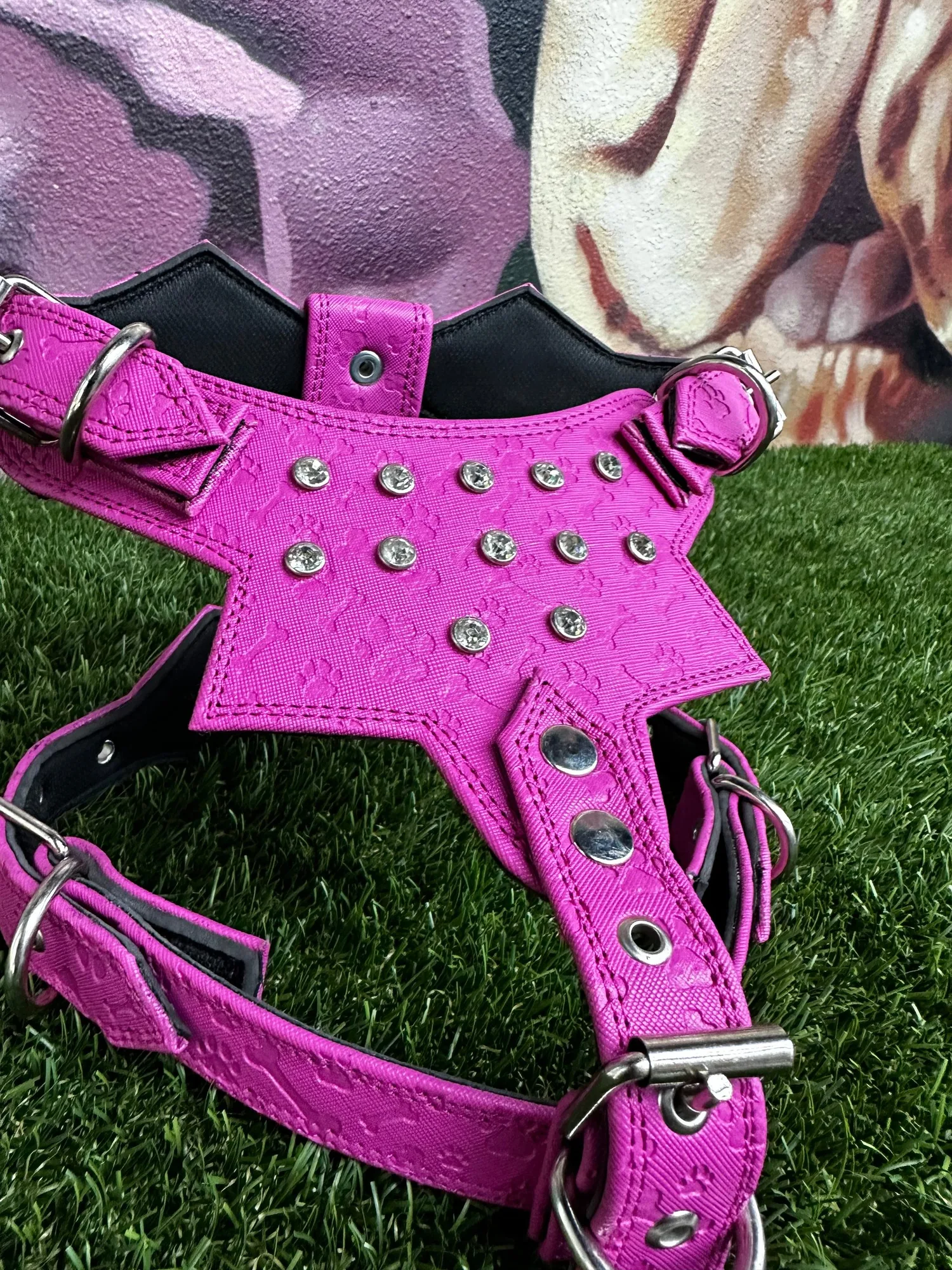 頂級犬用胸背帶 骨頭與爪印圖案