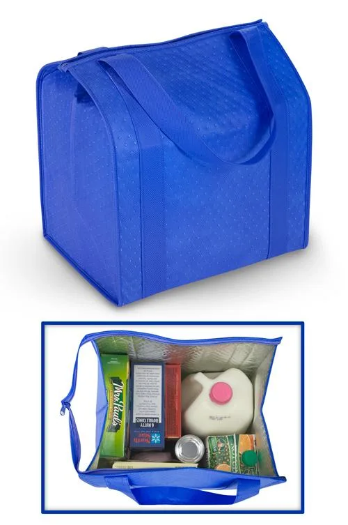 Insulated Shopping Bag Buying Guide