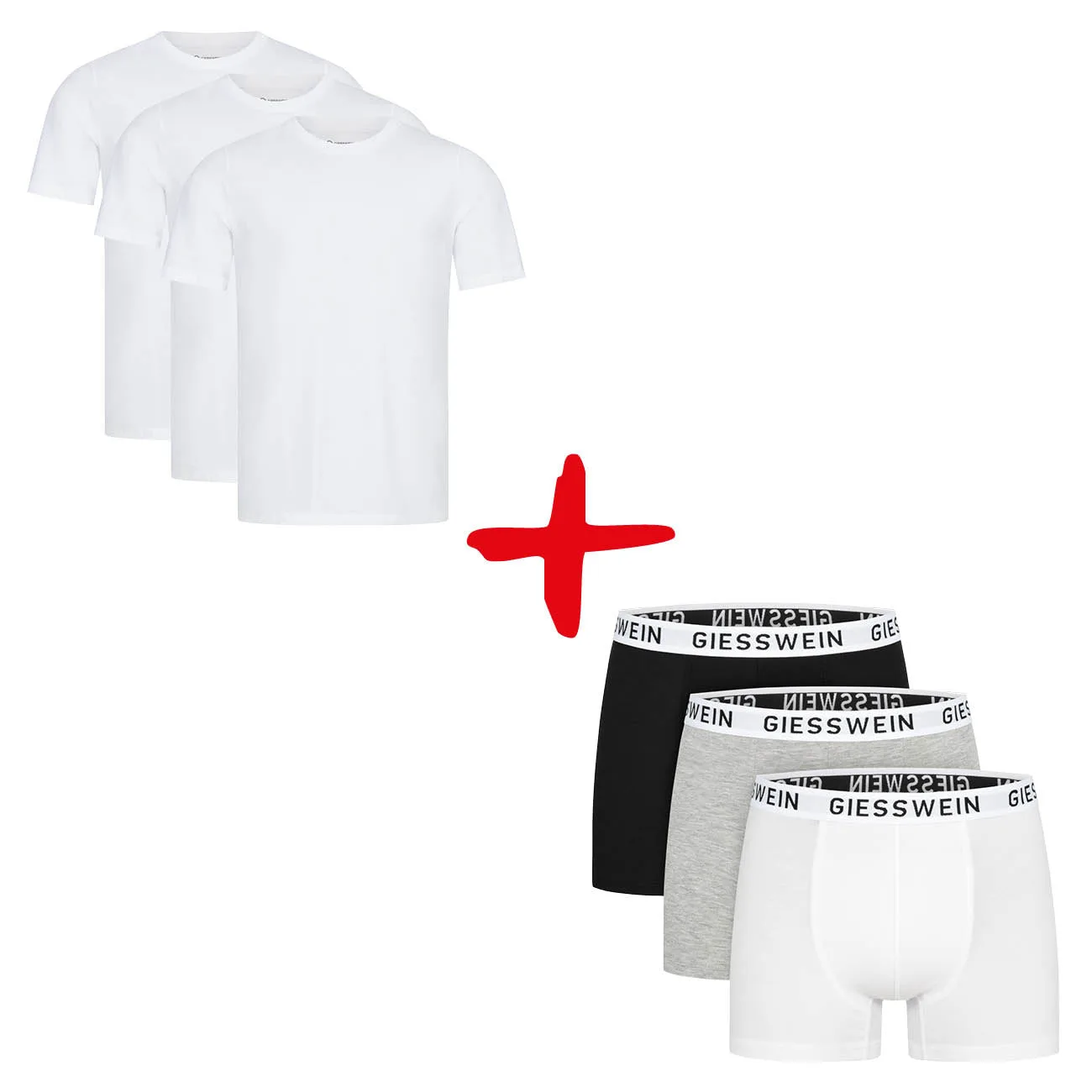 Set: Bio-Boxershorts und T-Shirt für Herren