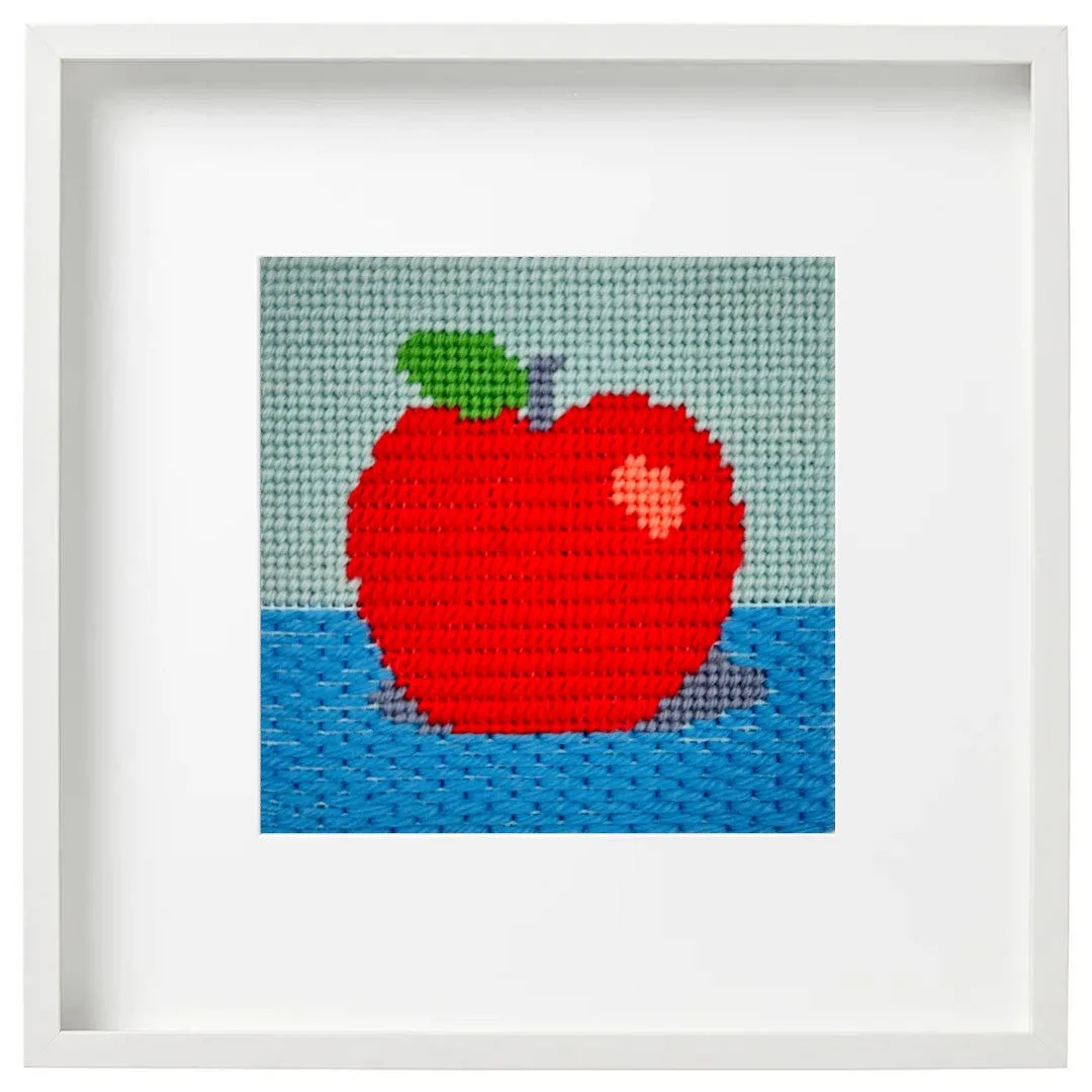 Red Apple Needlepoint Beginner Kit