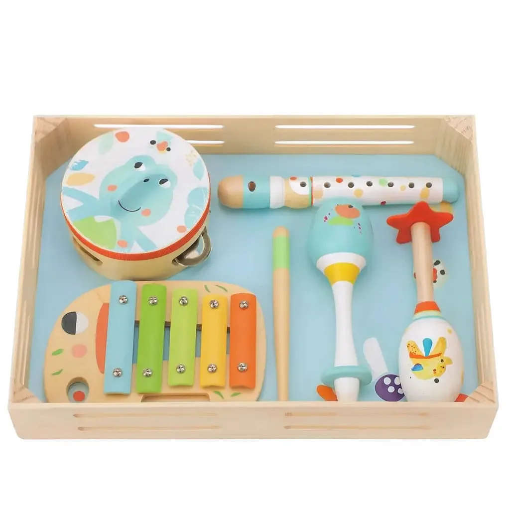 How to Use the Music Instrument Set for Baby