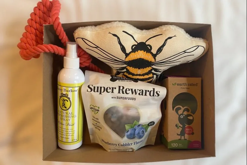 Vibrant Pup Box
