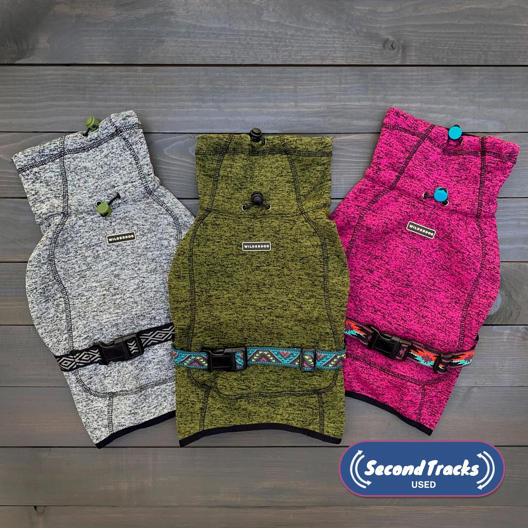 What to Check When Buying Used Dog Gear