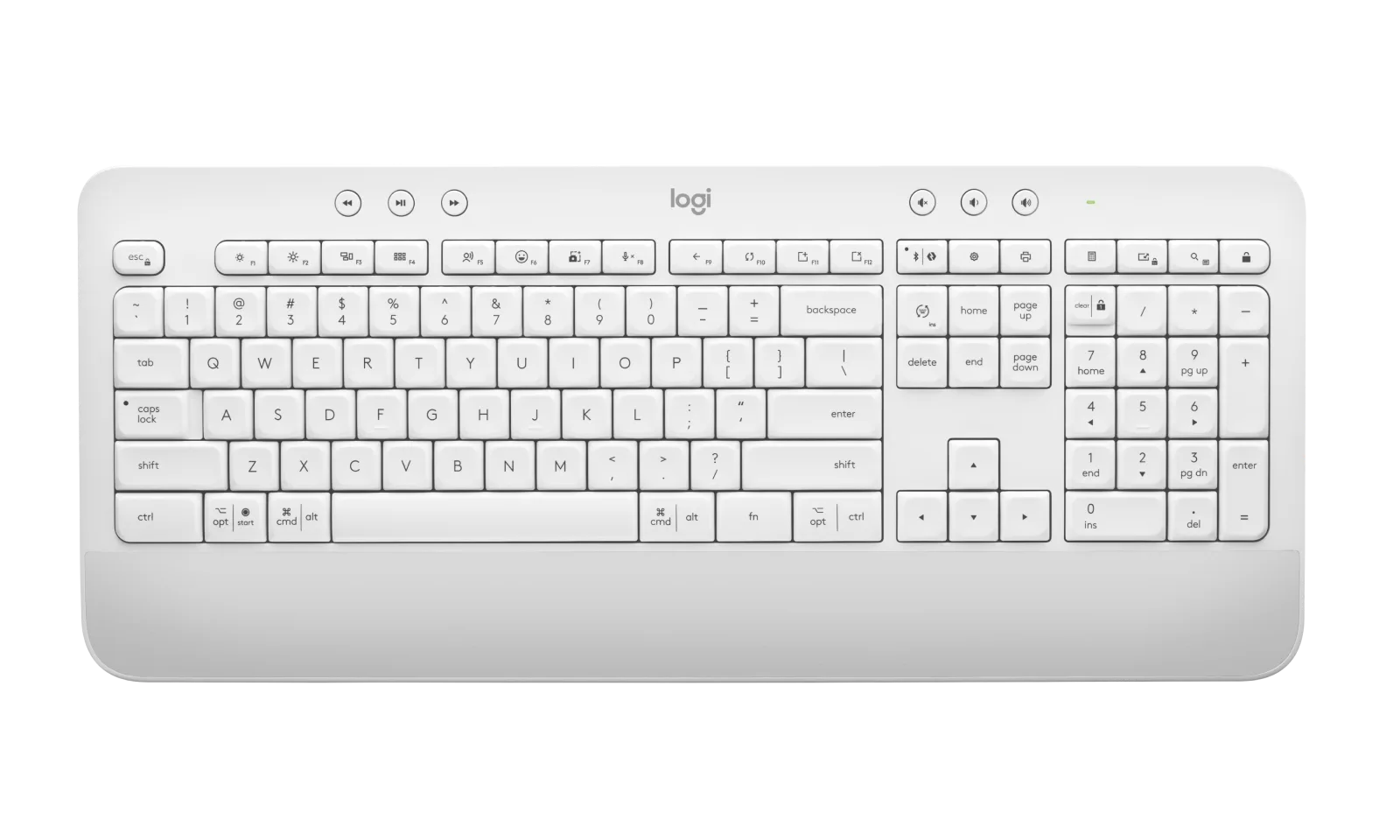 Digital Pens Redefining Modern Workspaces: Trends, Benefits, and Top Picks