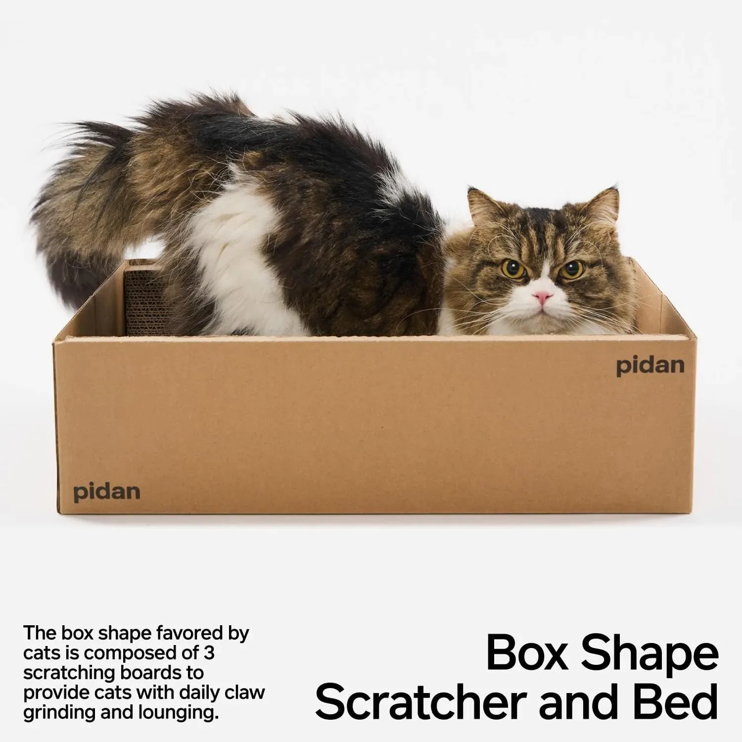 Griffoir en carton pour chat pidan