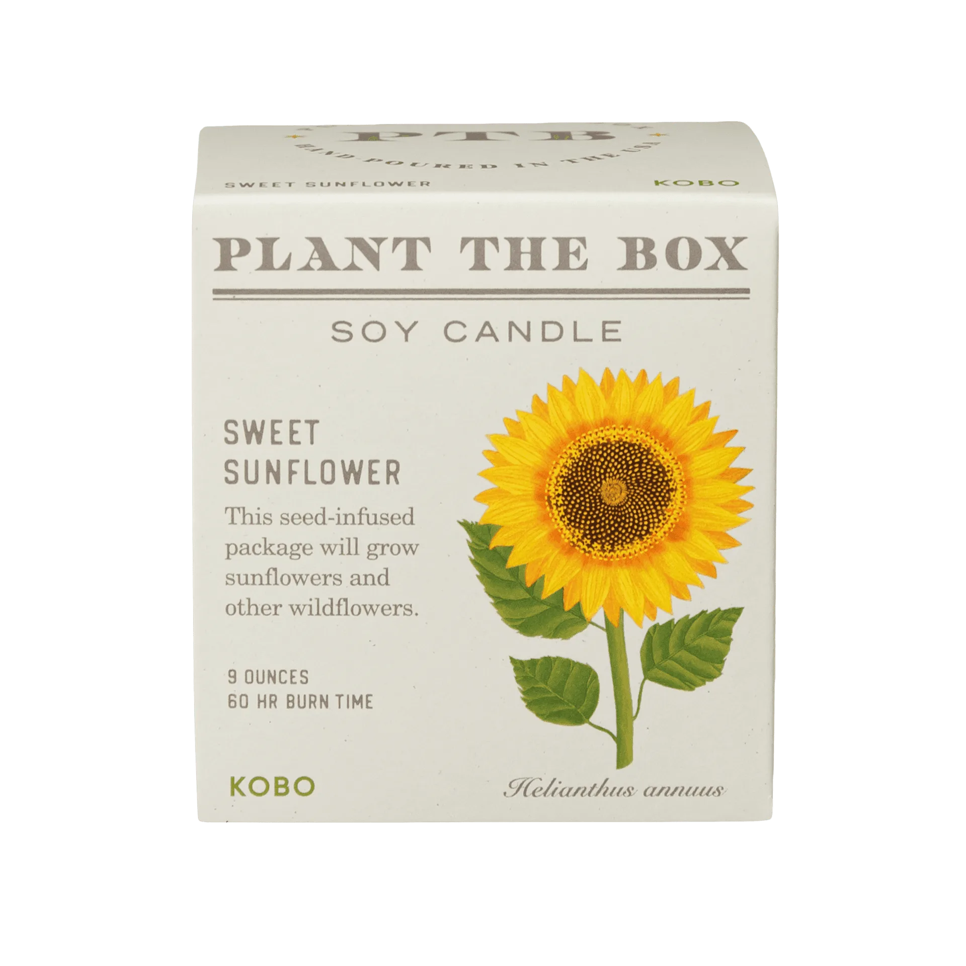 The Rise of Botanical Candles: Why Plant The Box Is a Trendsetter