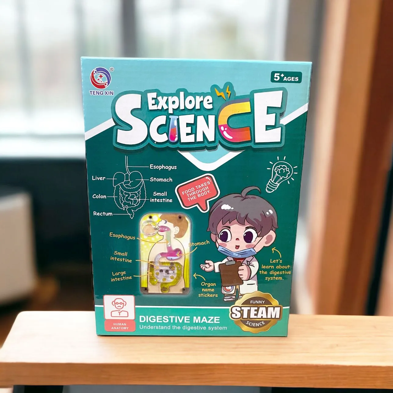 Cómo usar un laberinto del sistema digestivo para aprender STEM