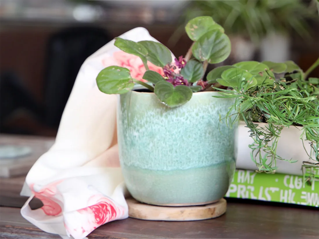 Plantatorem 的 Jewel Teacup 花盆