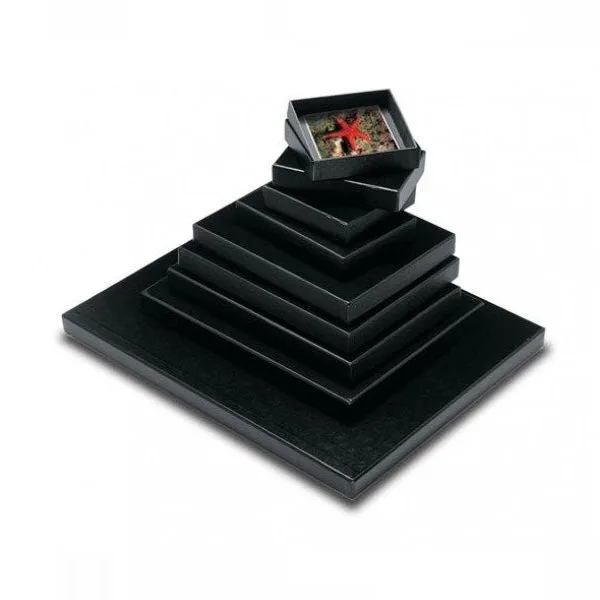 Clearfile Print Archival Box - 8 x 10in