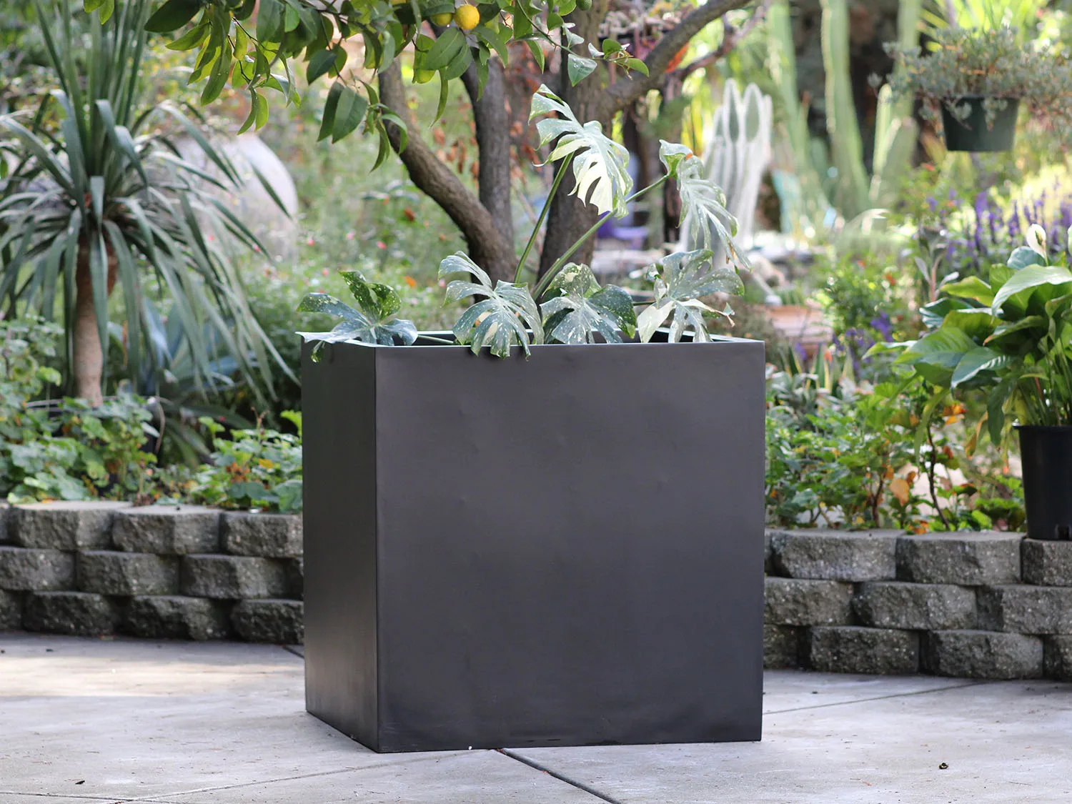 Pot cubique de Plantatorem