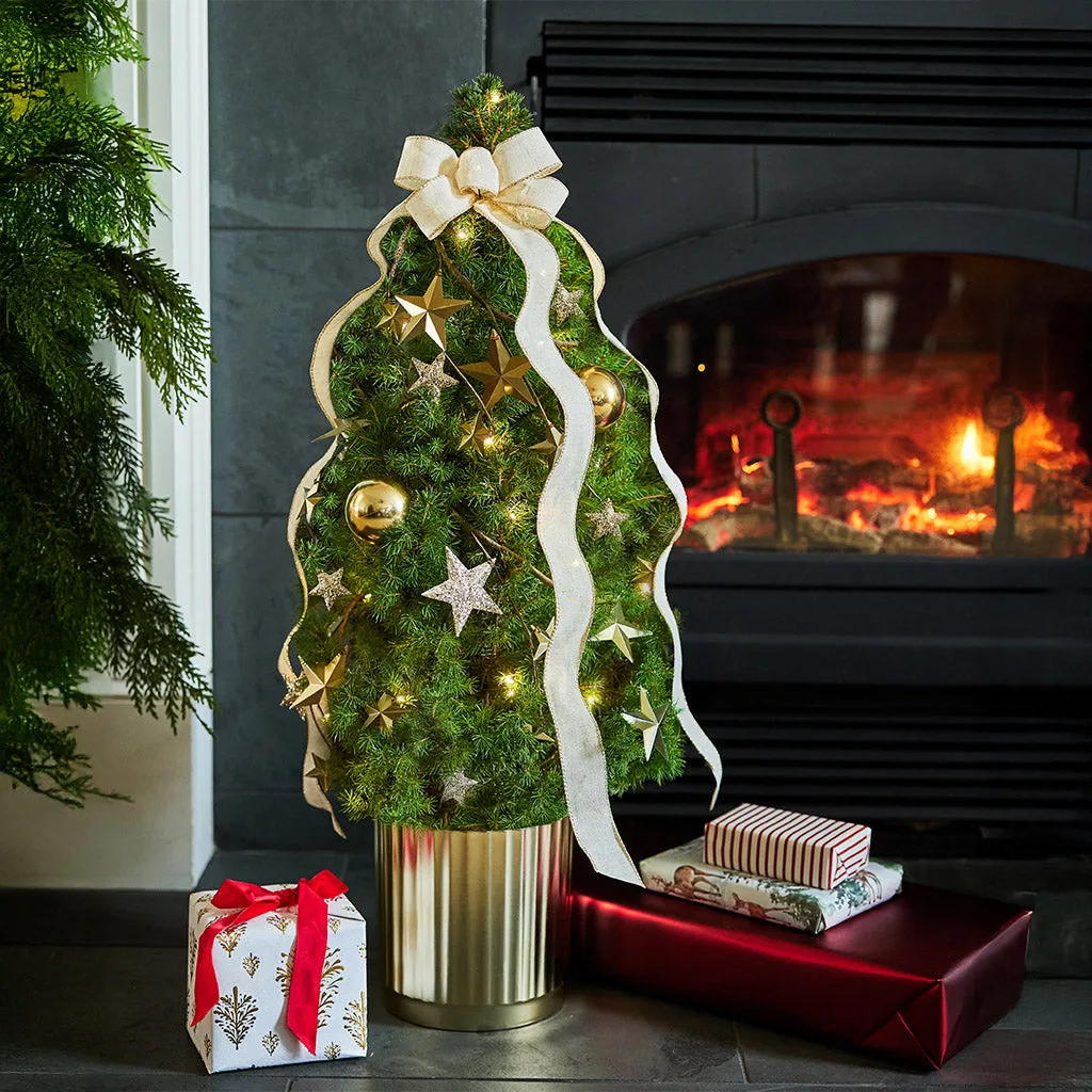 Comment choisir la taille de votre sapin de Noël naturel