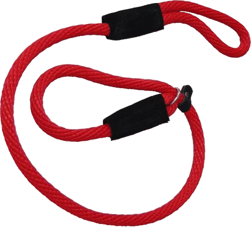Heavy Nylon Mendota British Style Slip Leash