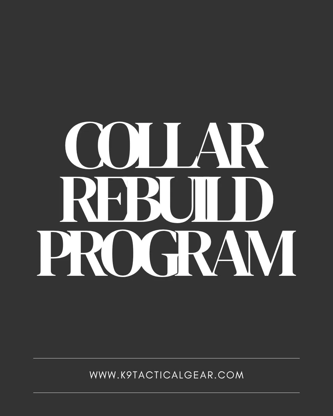 How to Rebuild a Dog Collar: Step-by-Step Guide