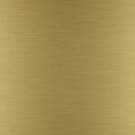 顏色