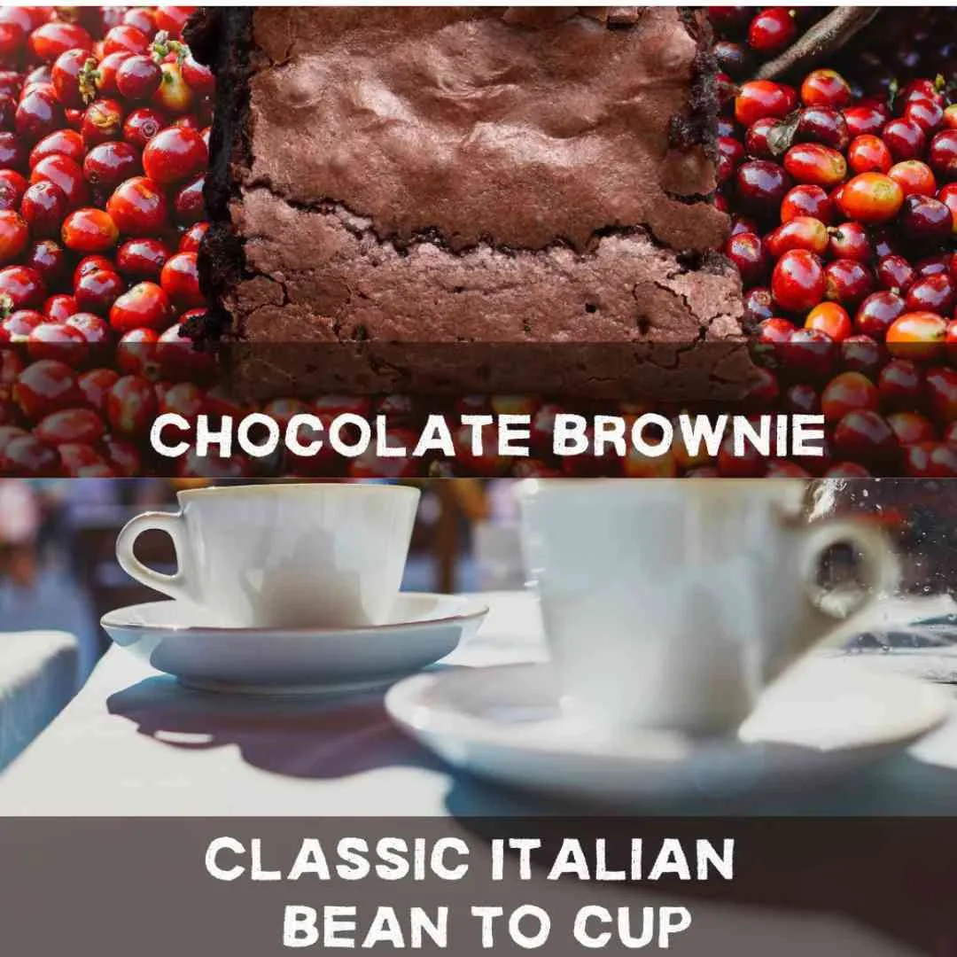 Aanbieding: Chocolade Brownie Blend + Klassieke Italiaanse Blend – Koopgids