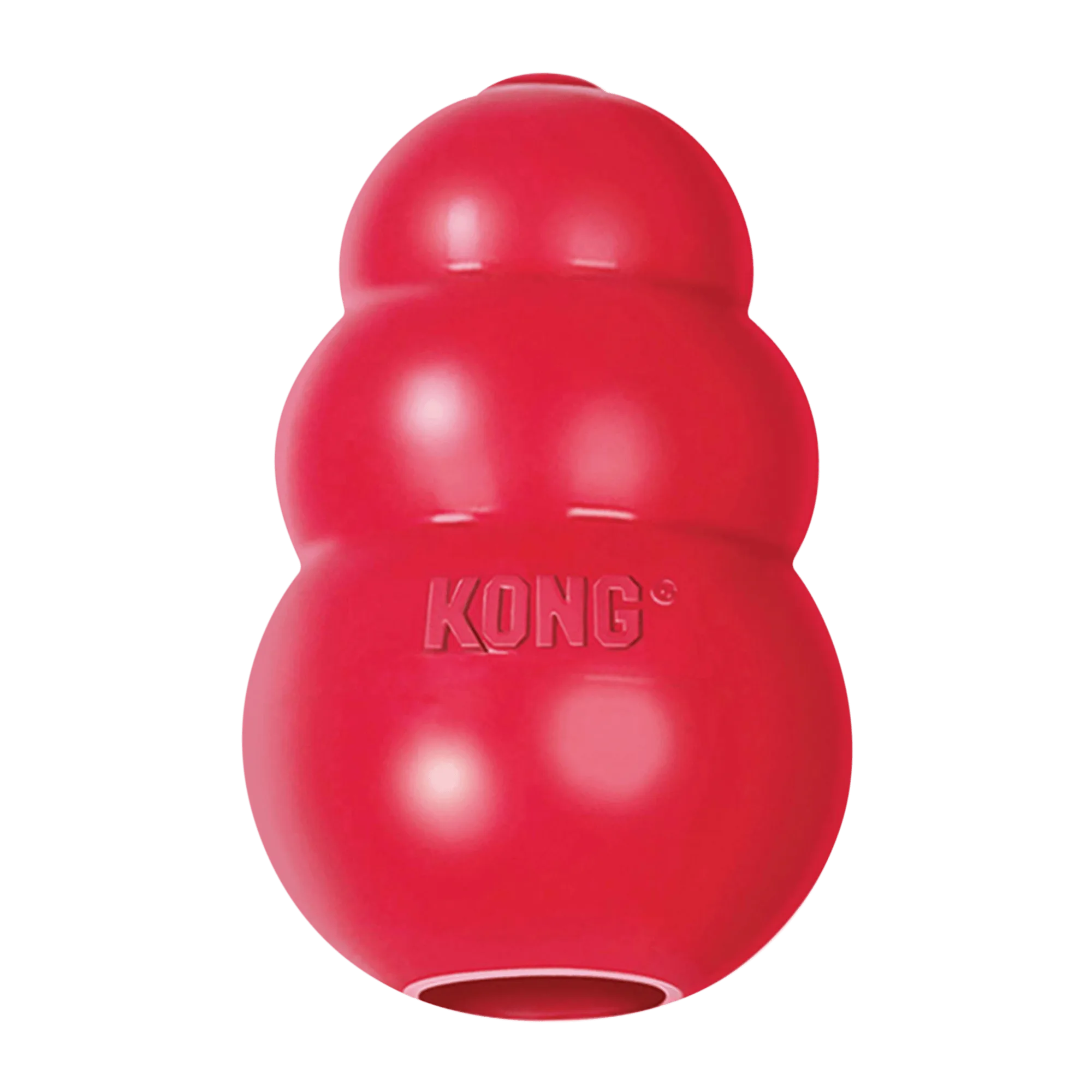 KONG Holiday CoreStrength Bone vs Classic Chews Compared