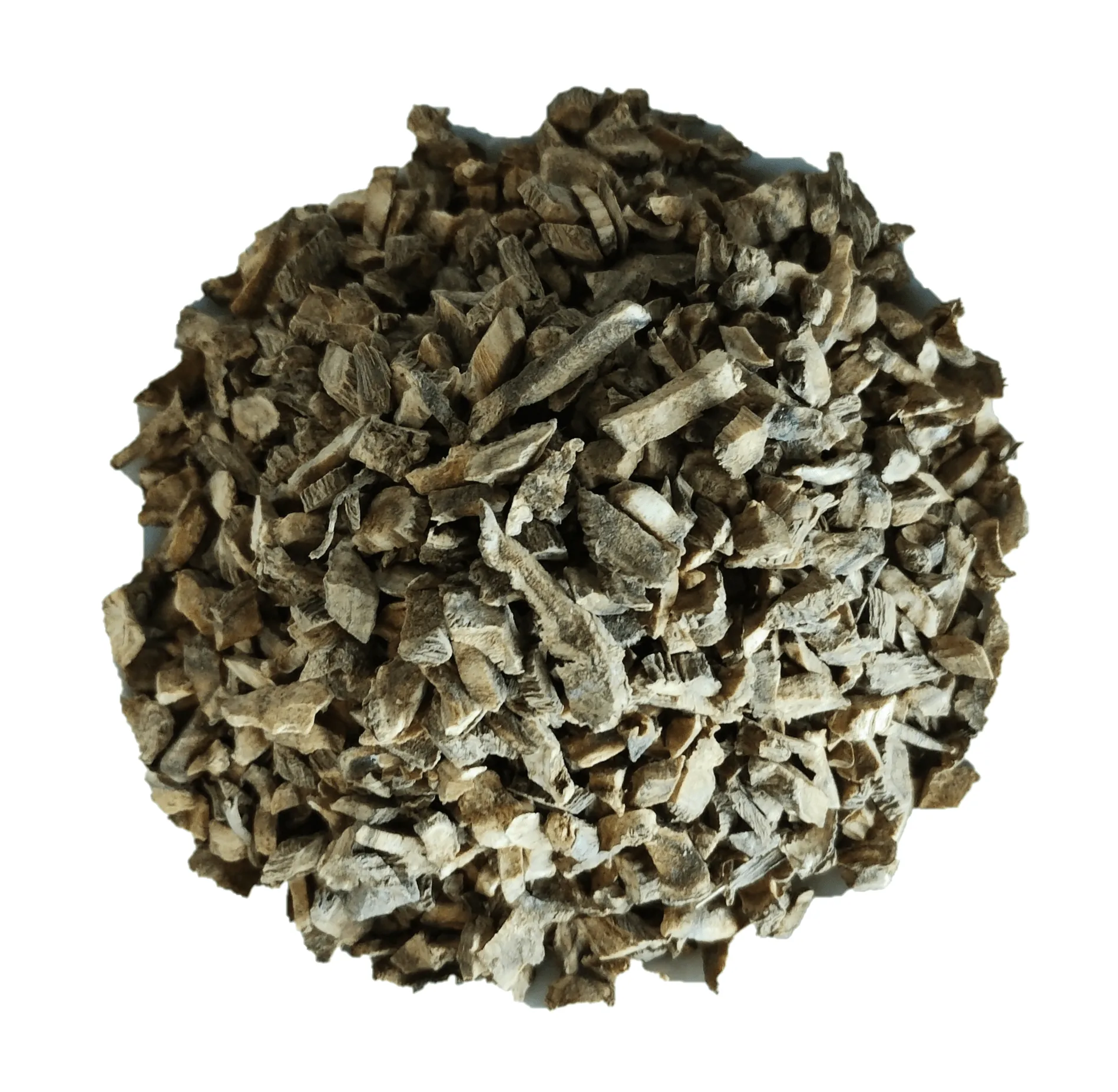 Elecampane Root: Uses and How to Take It