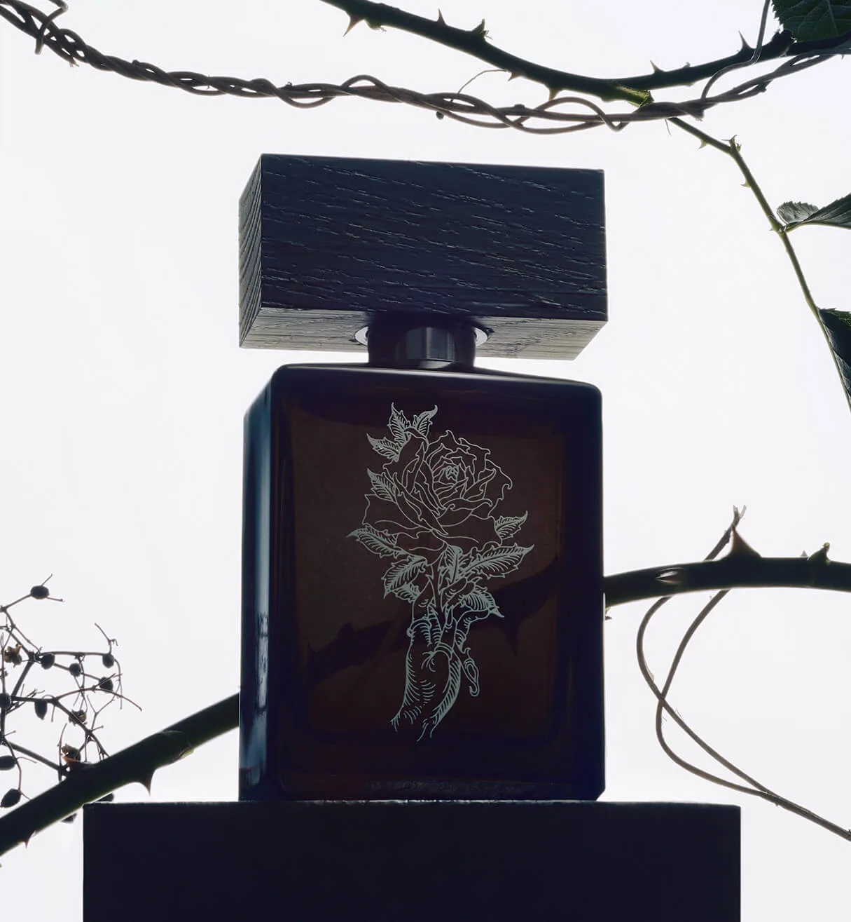How to Choose a Signature Scent: A Beaufort London Guide