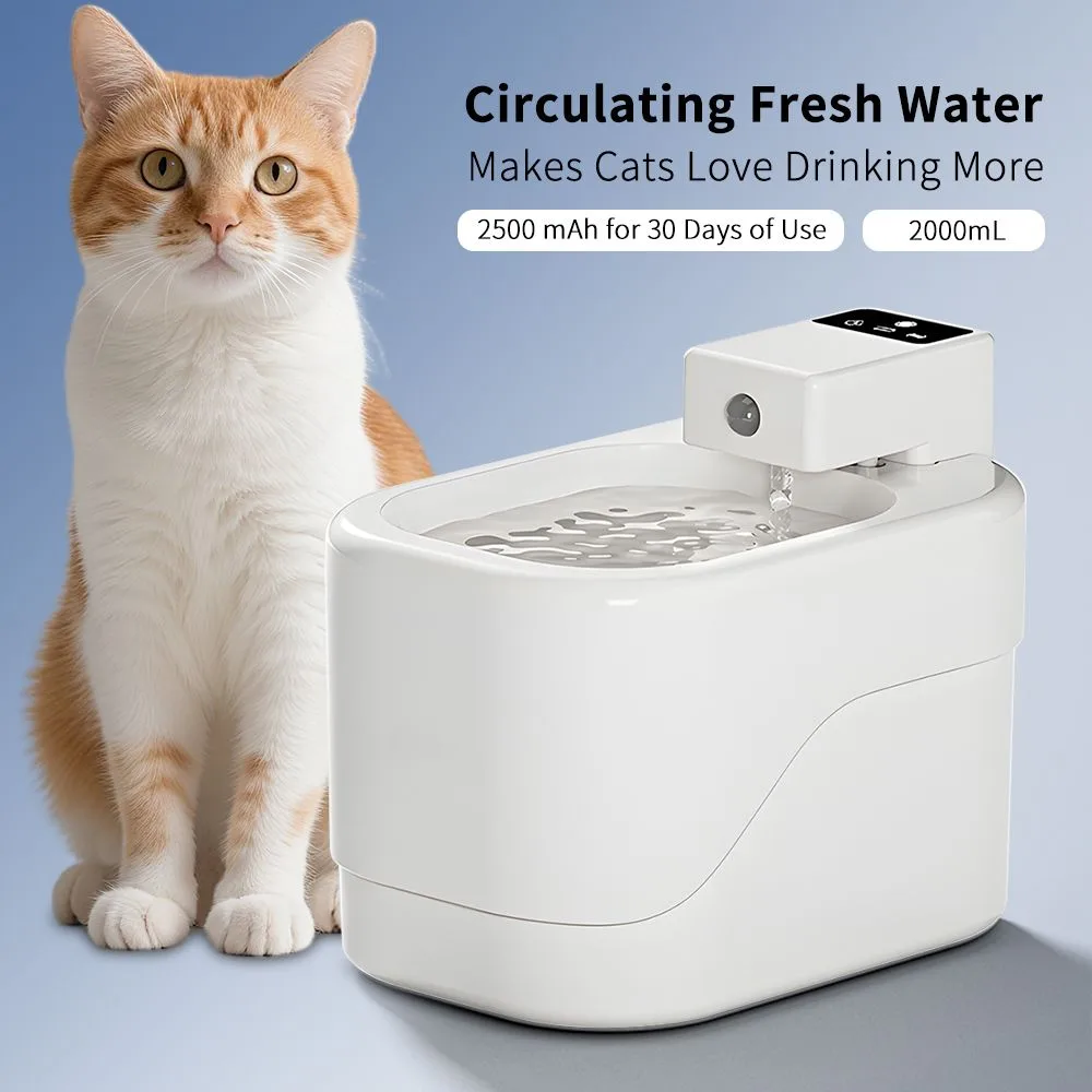 Comment habituer votre chat à une fontaine à eau