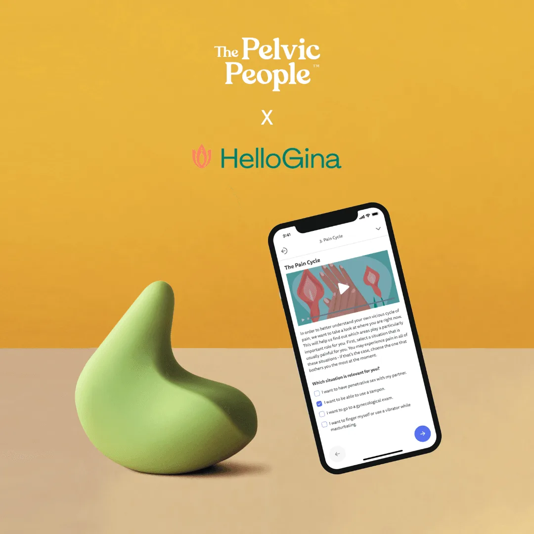 Kiwi x HelloGina Bundle: A Practical Overview