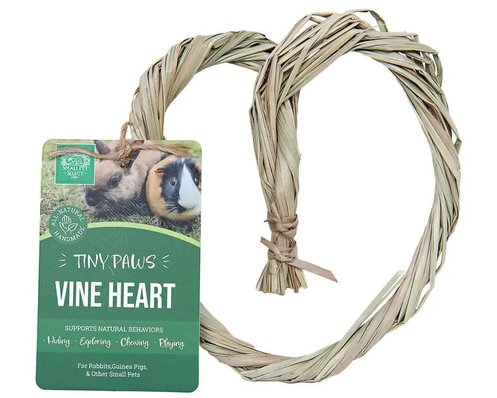 Seagrass Toys for Small Pets: Safety Guide
