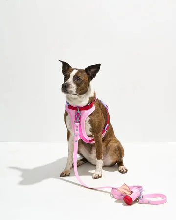 How to Clean and Care for Your Poop Bag Dispenser: A Complete Guide