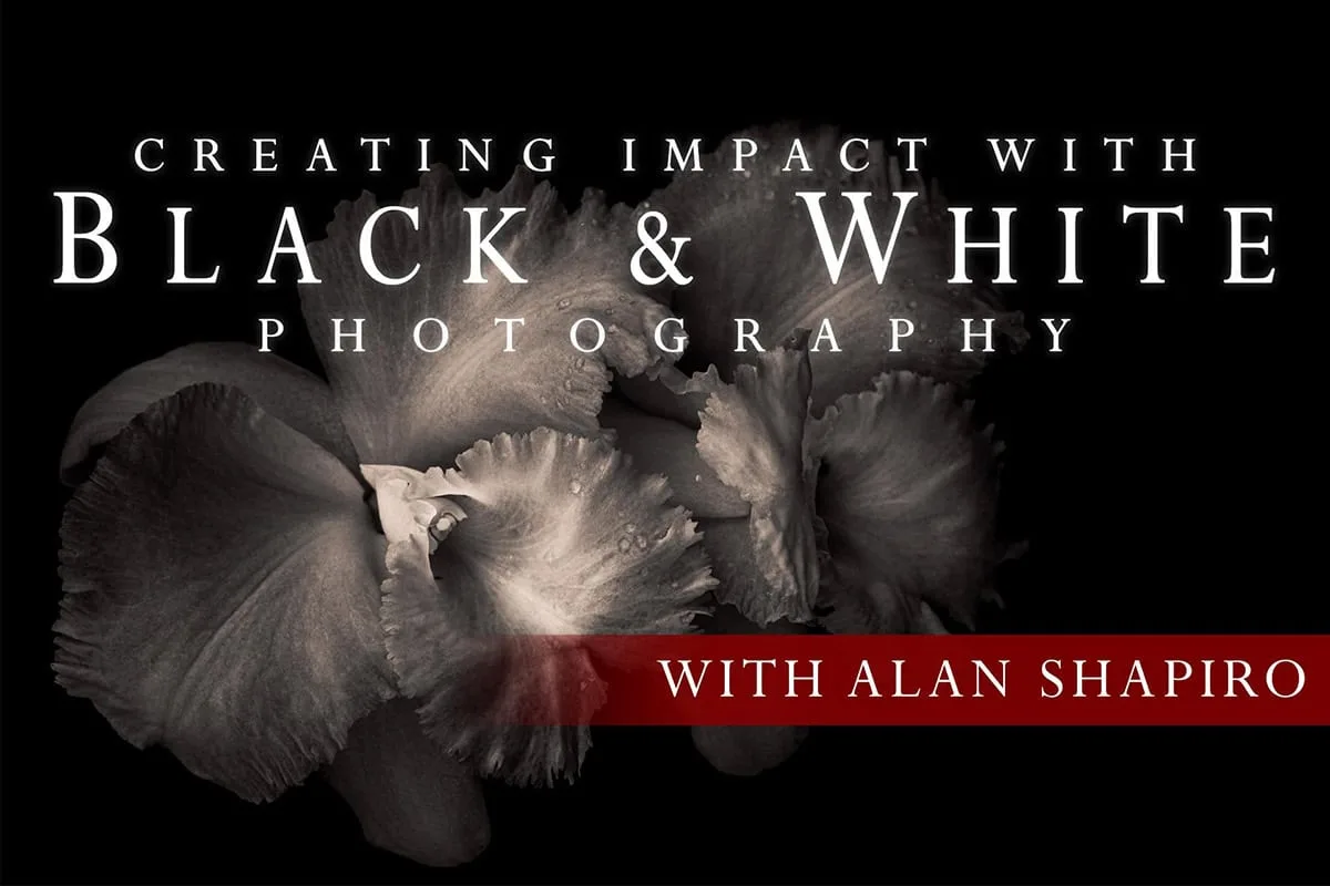 Creating Impact with B&W Processing