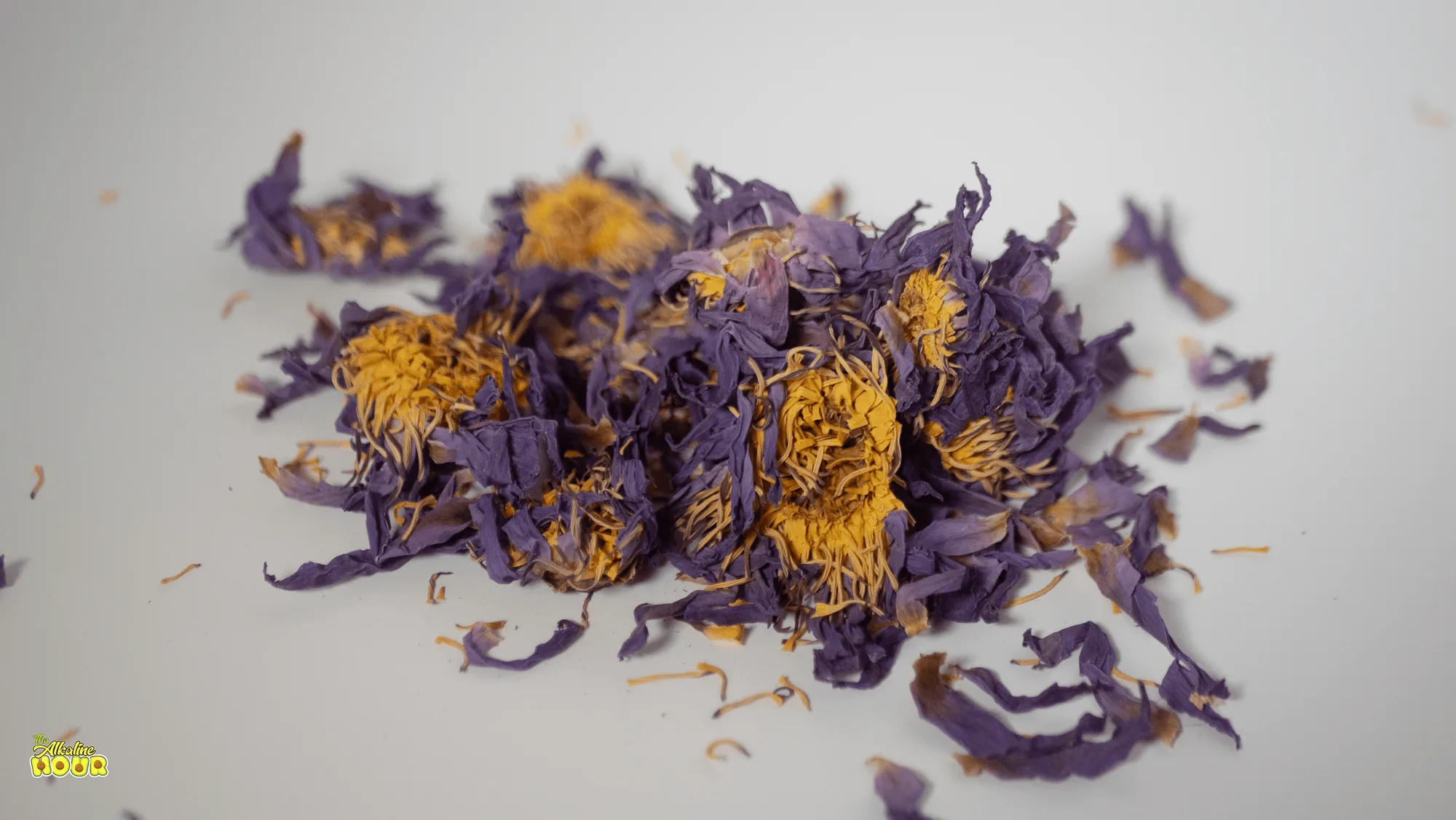 Sådan brygger du blå lotusblomst-te til afslapning