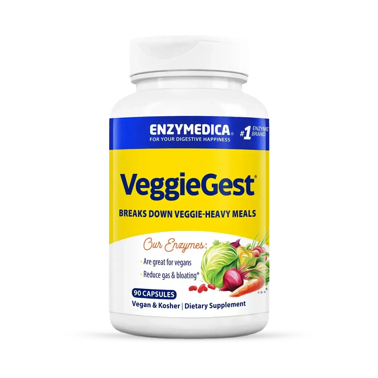 Probiotics vs Digestive Enzymes: Which One Do You Need?